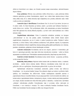 www.speros.lt